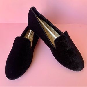 Birdies The Starling Velvet Flats Black 7.5 NWOB